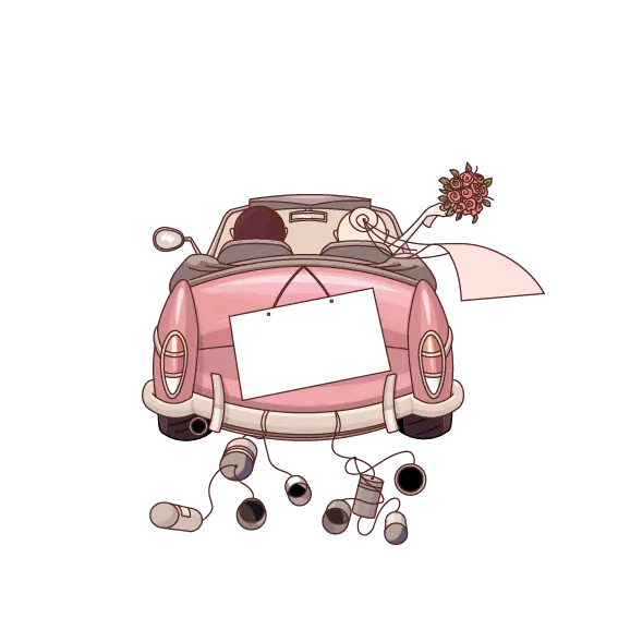 Just Married Wedding Car Decoration