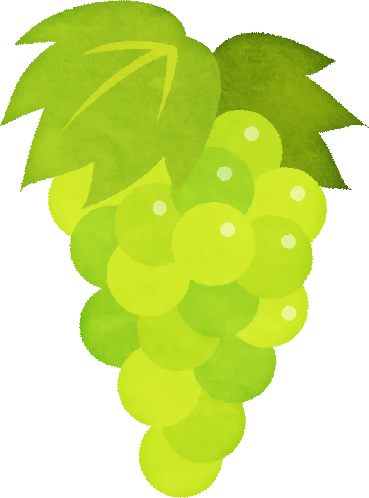 Green Grapes Bunch with Leaves