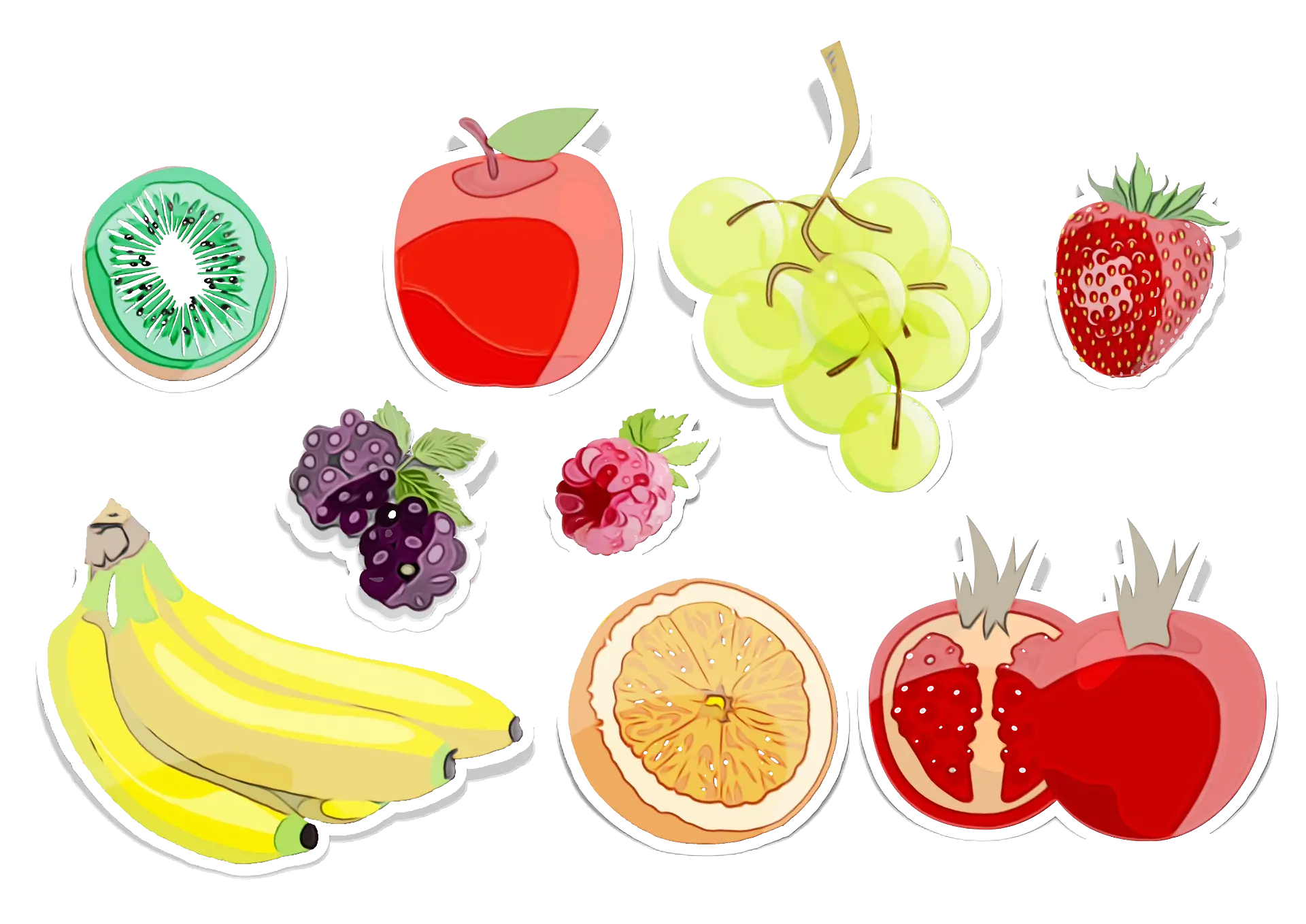 Assorted Fruit Illustrations