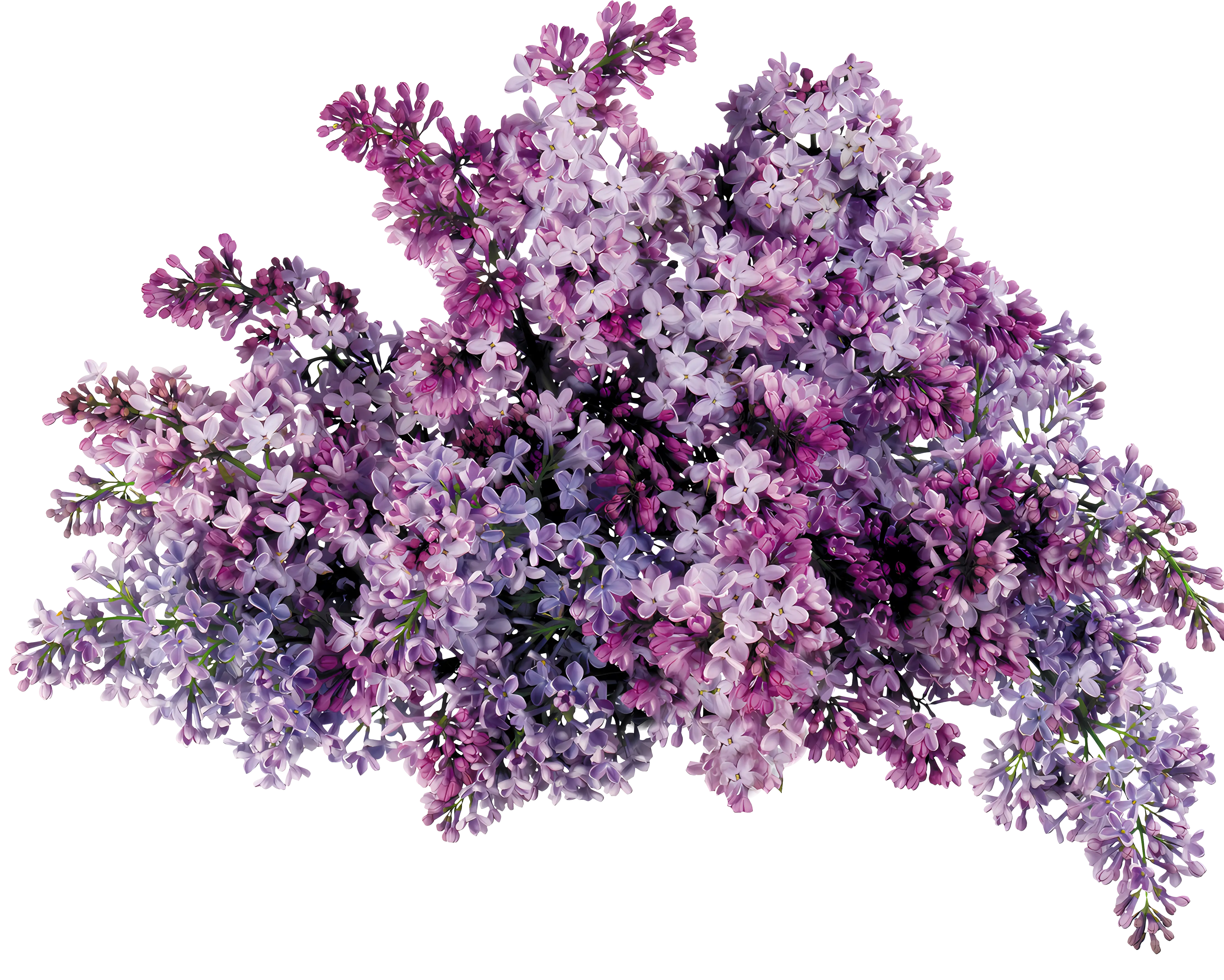 Purple Flower Bouquet