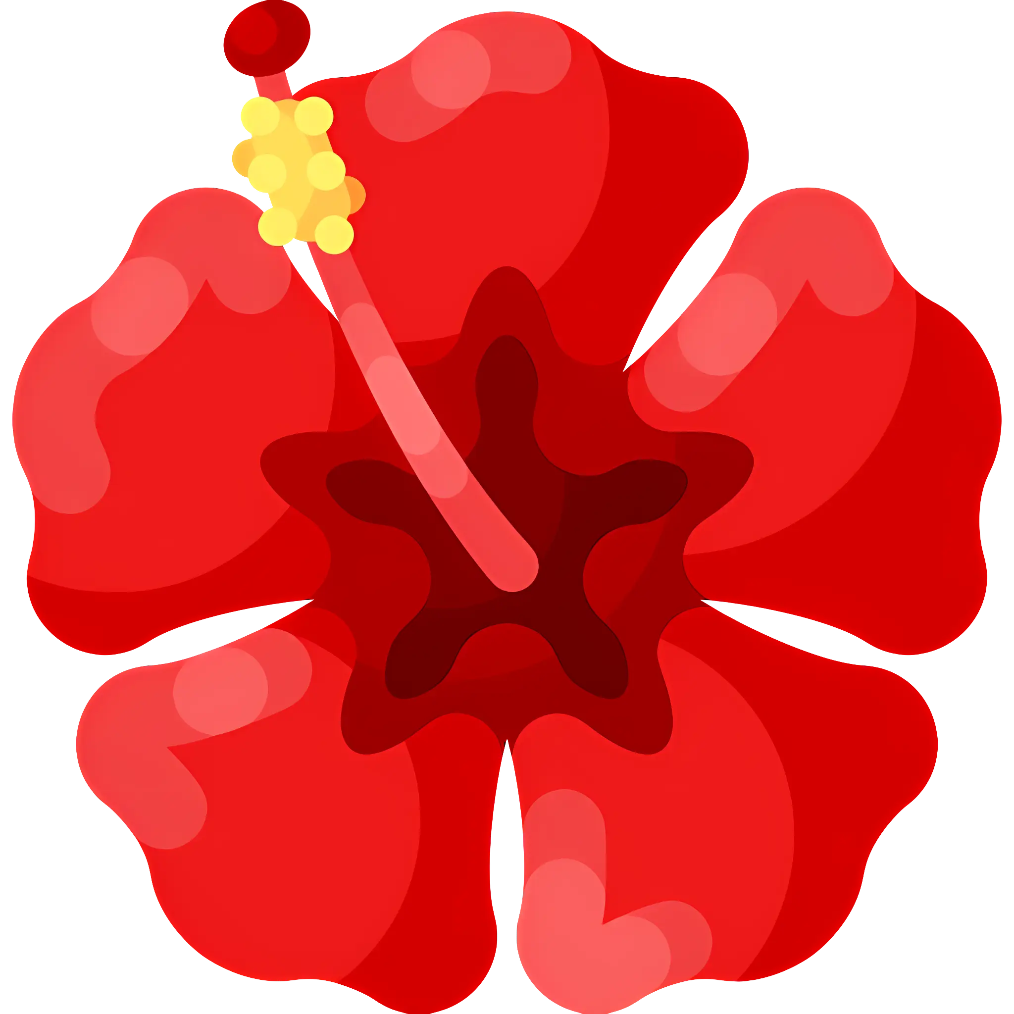 Red Hibiscus Flower Illustration