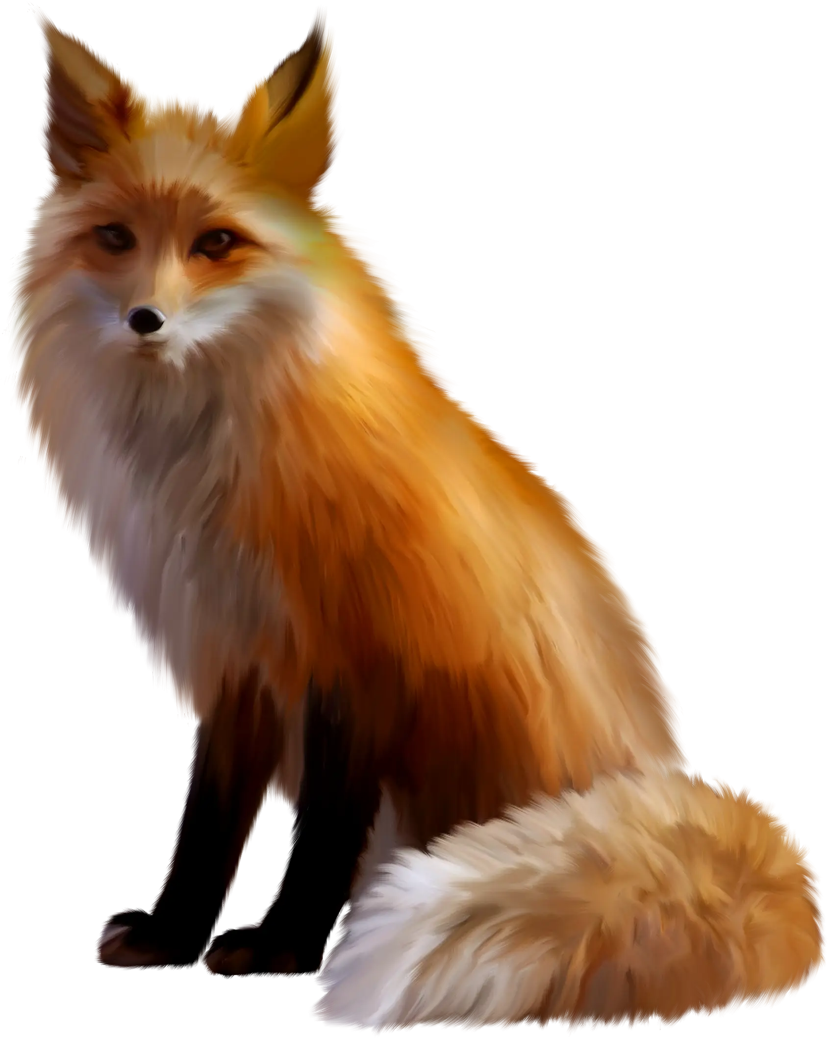 Sitting Orange Fox Illustration