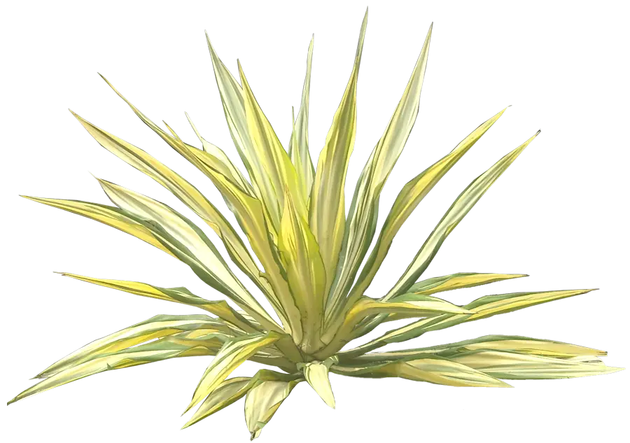 Green Plant Illustration for Nature and Environment