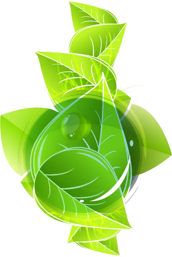 Fresh Green Leaves