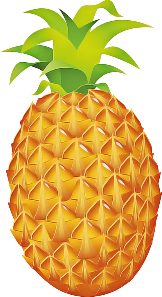 Tropical Pineapple Illustration
