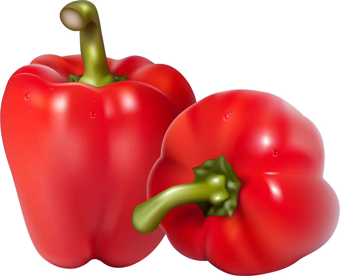 Red Bell Peppers Illustration
