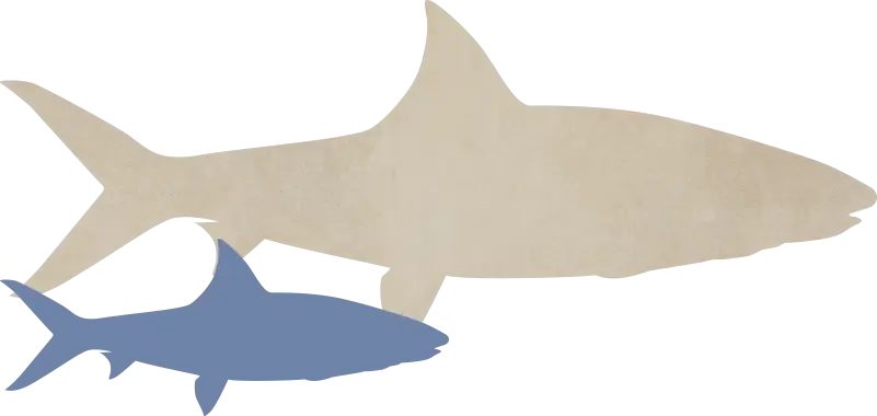 Silhouettes of Sharks Illustration