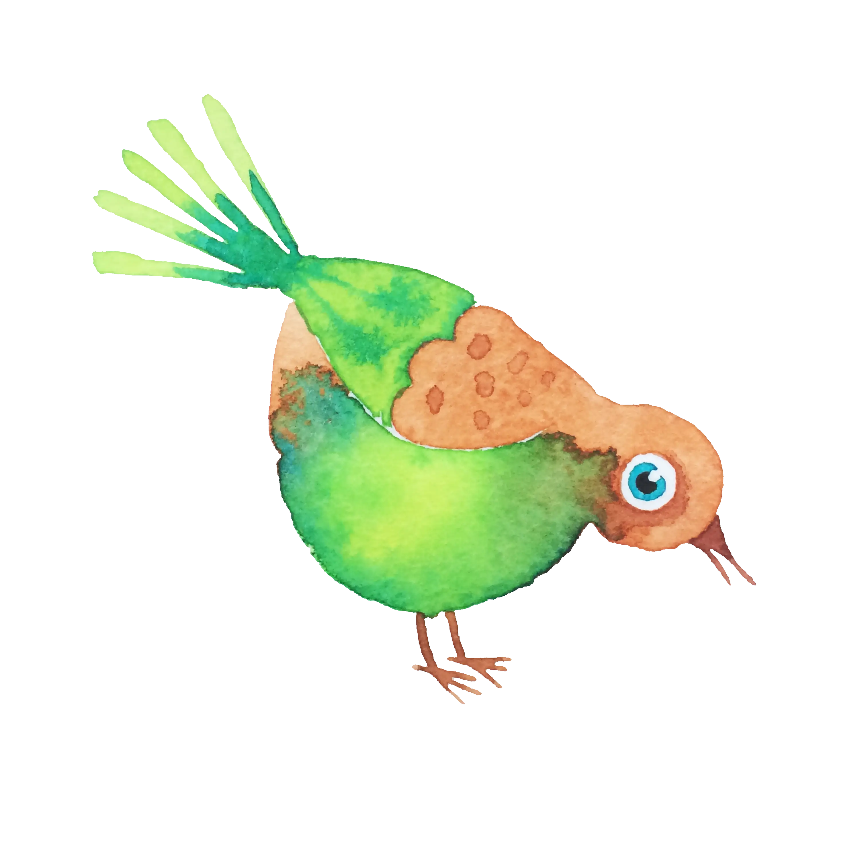 Colorful Watercolor Bird Illustration