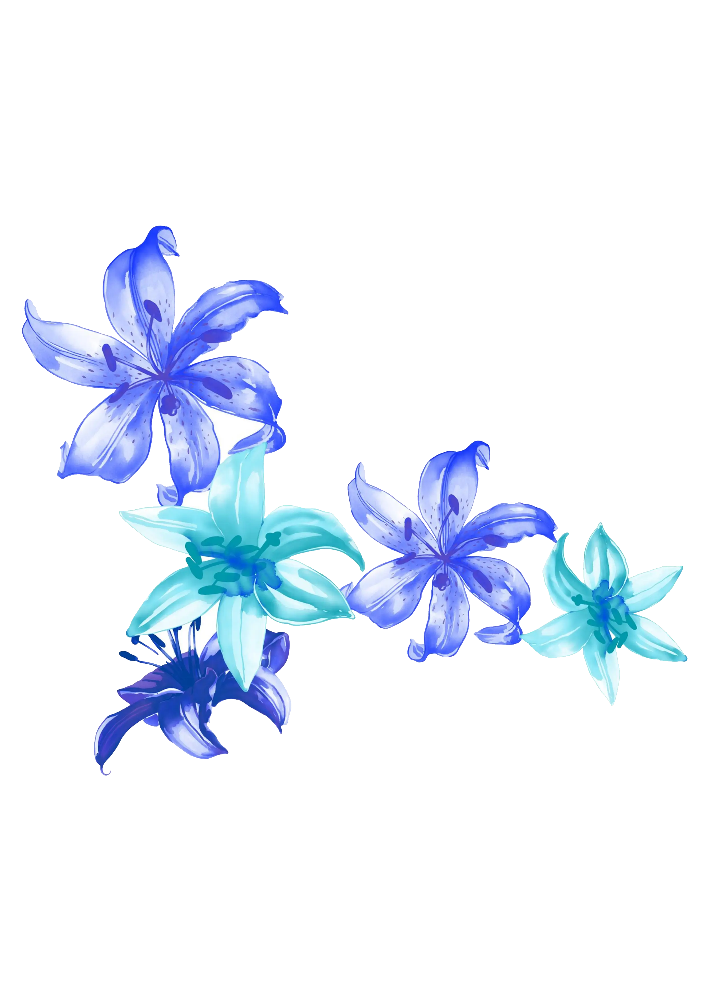 Beautiful Blue Flowers in Bloom