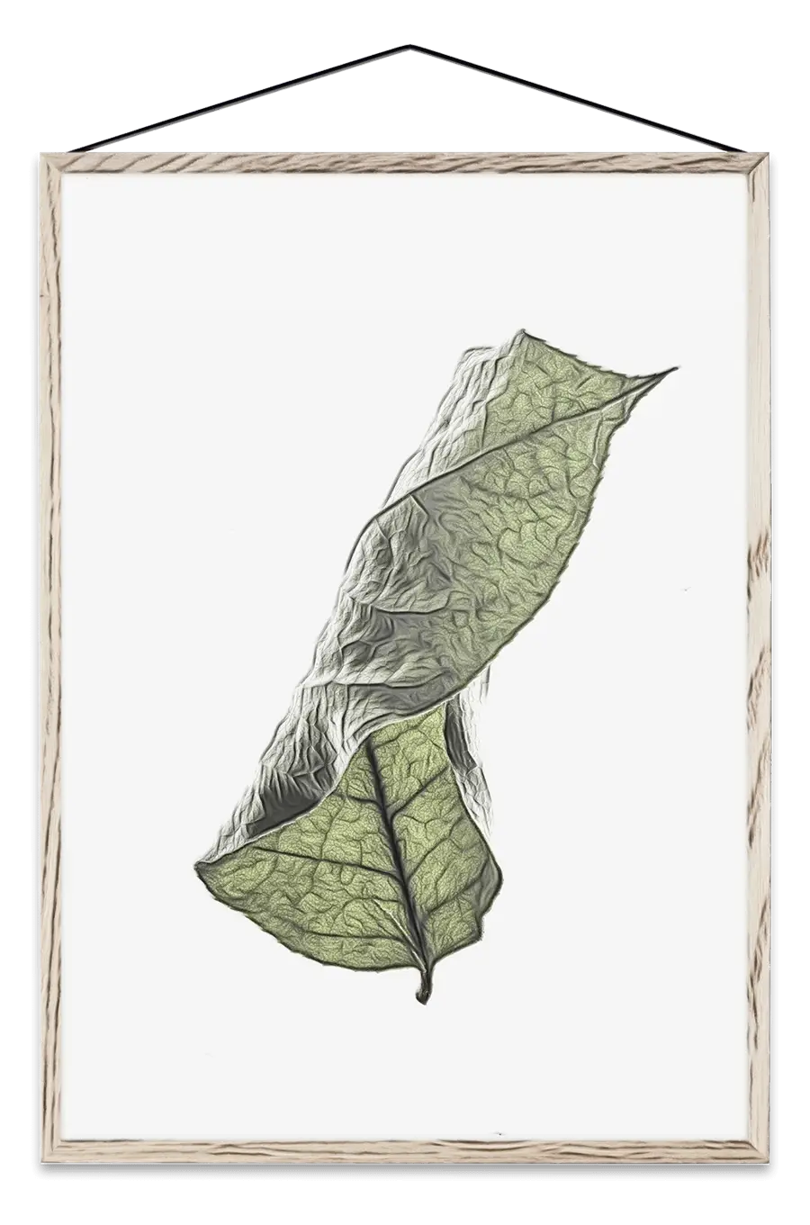 Botanical Leaf Drawing