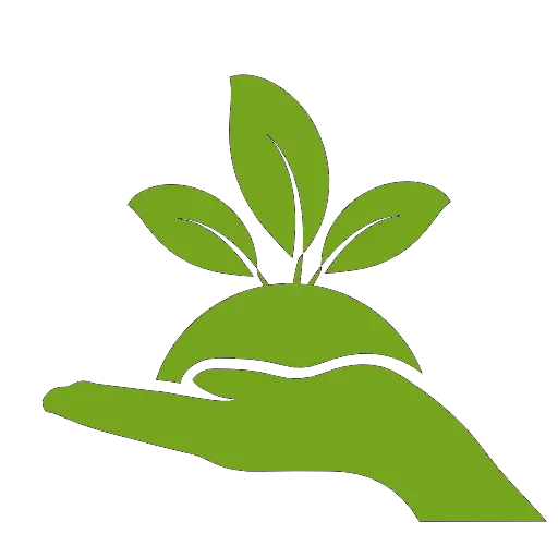 Symbol of Sustainability with Hand Holding a Green Plant