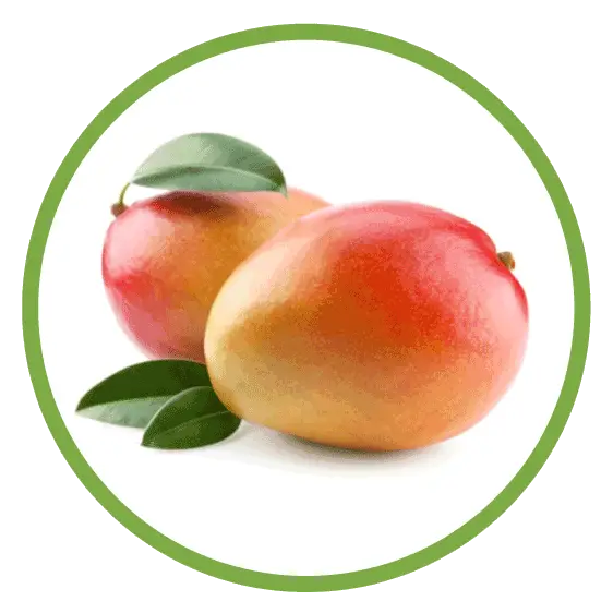Fresh Mangoes