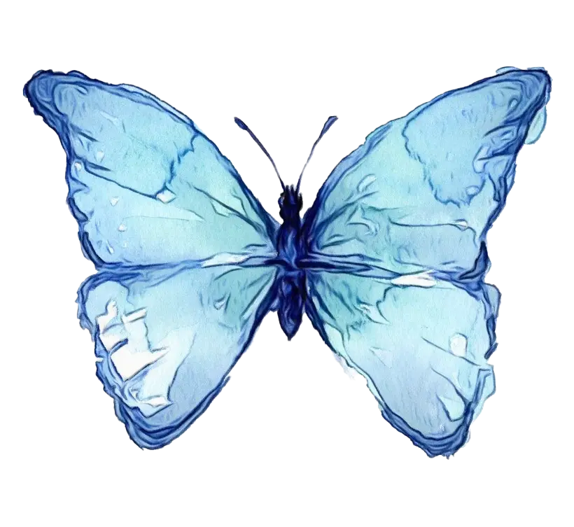 Blue Watercolor Butterfly Illustration