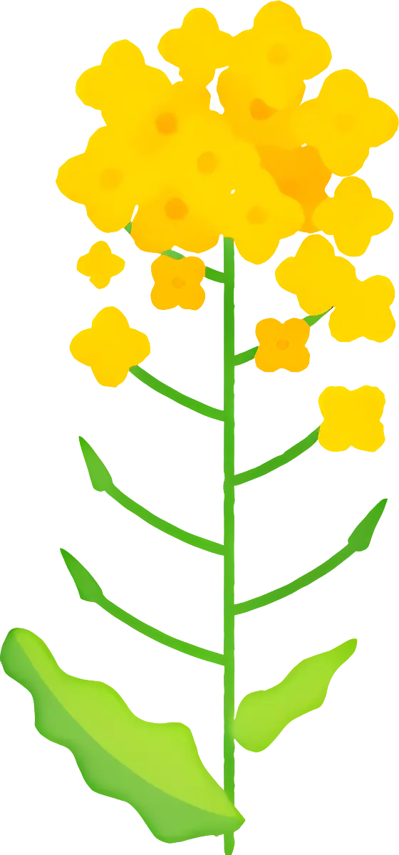 Yellow Flower with Green Leaves