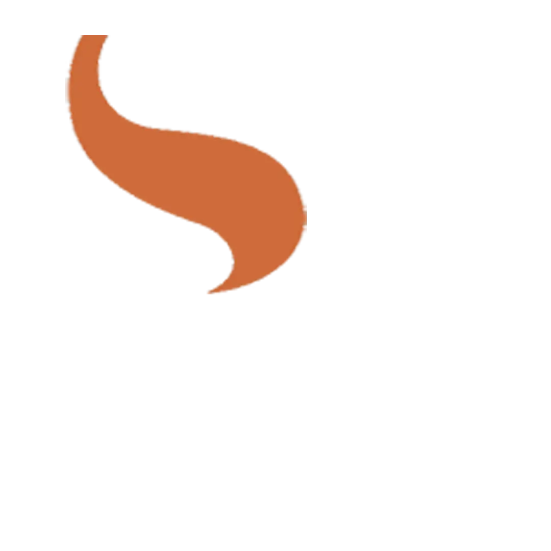 Orange Tail Icon