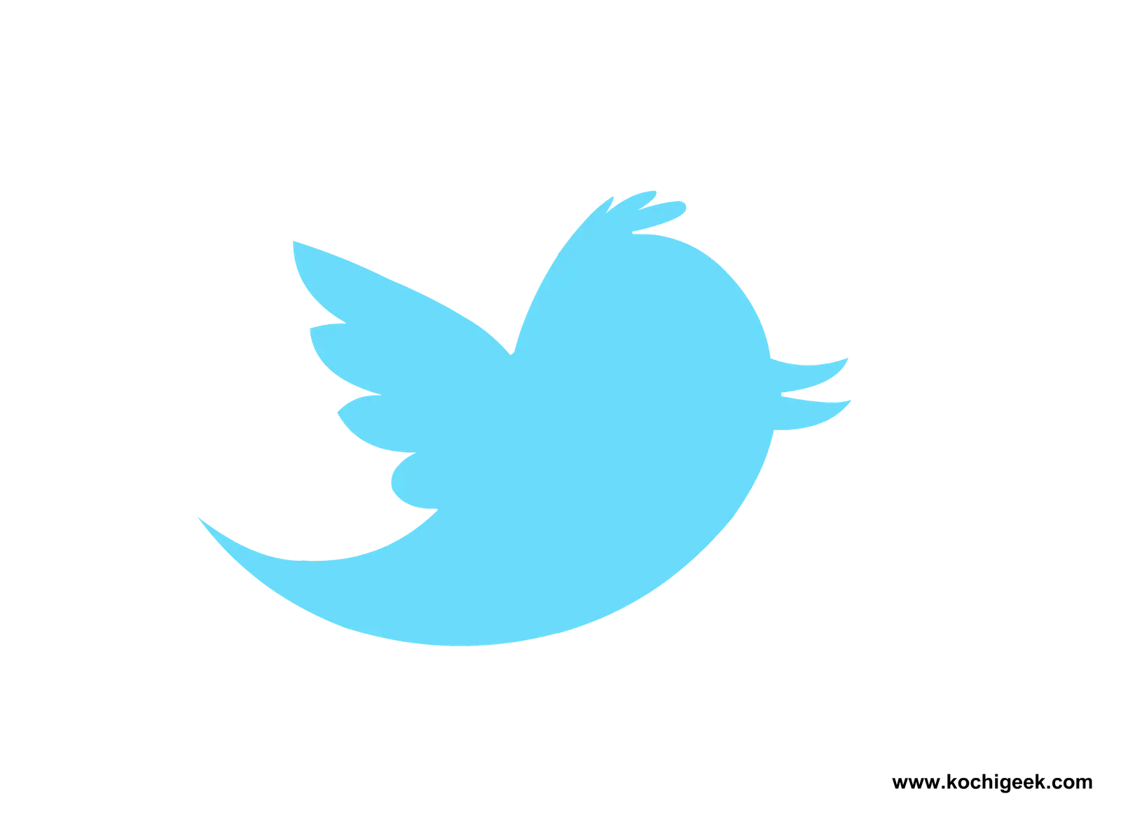Light Blue Bird Logo Illustration