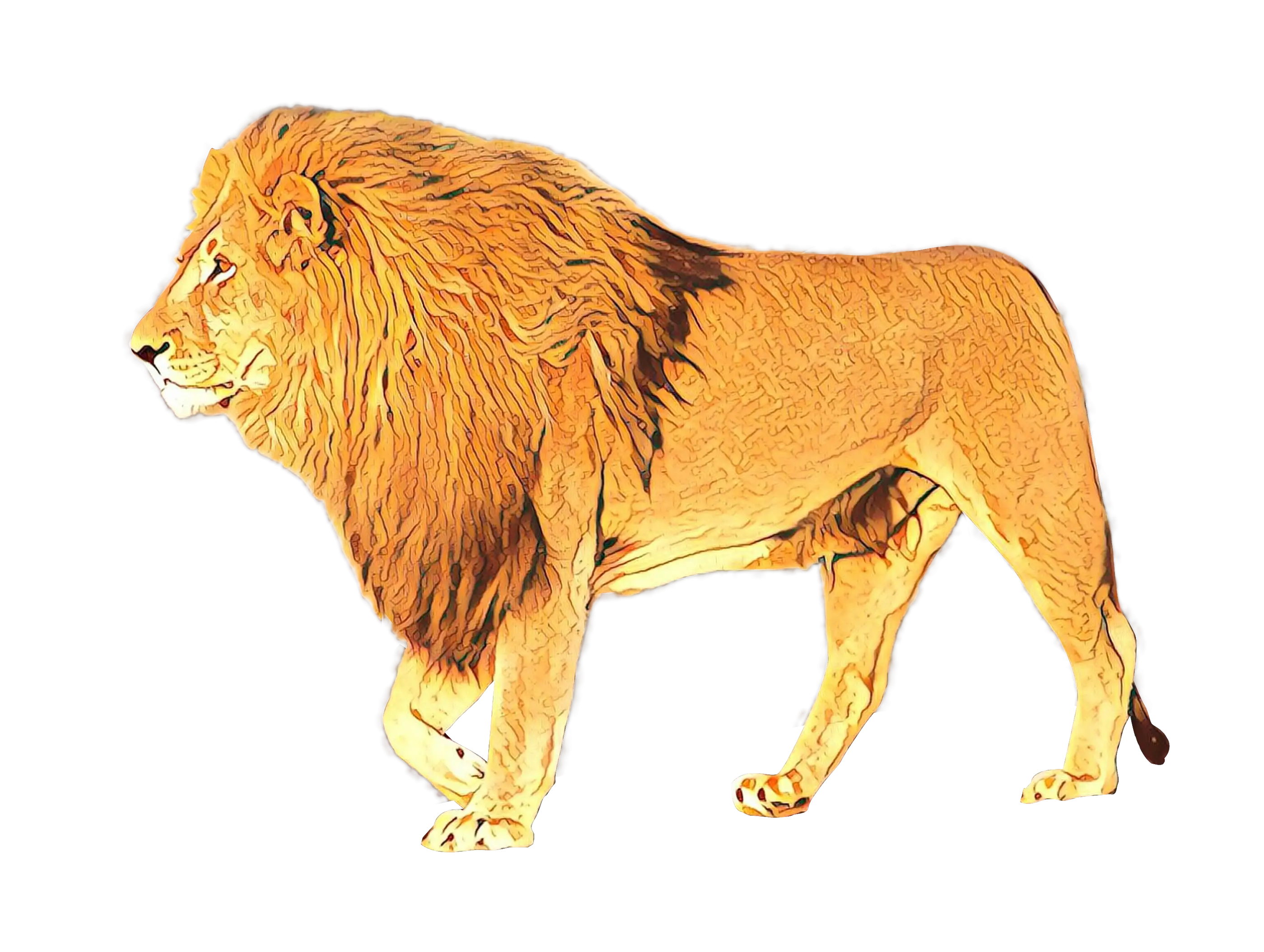 Lion Illustration in Detailed Style