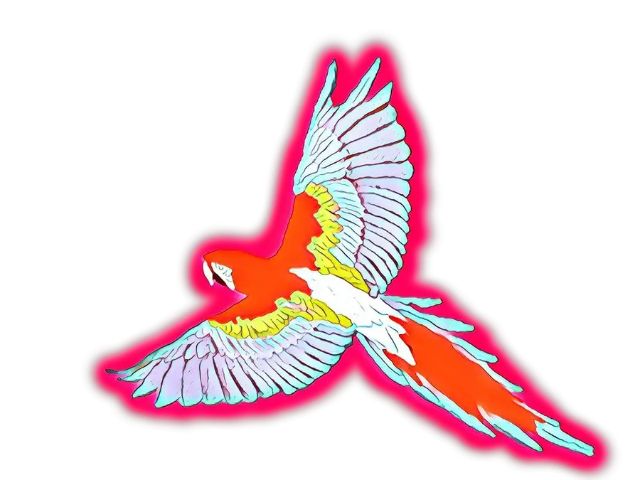 Colorful Parrot Art Design