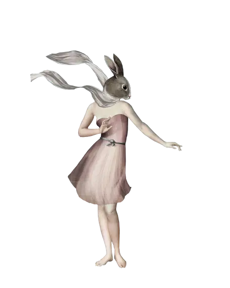 Rabbit in Dress Illustration