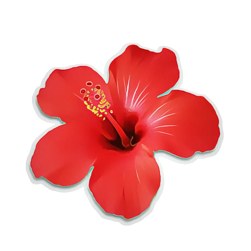 Red Hibiscus Flower Illustration