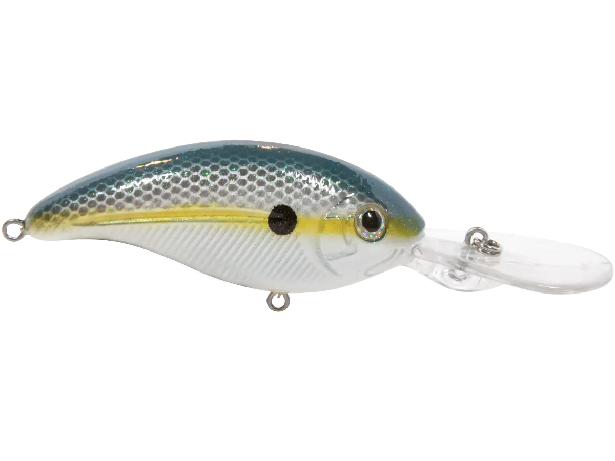 Fishing Lure for Anglers
