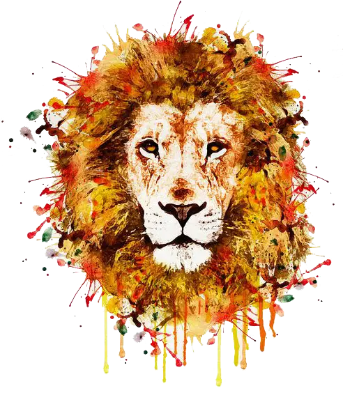 Watercolor Lion Illustration with Splashes
