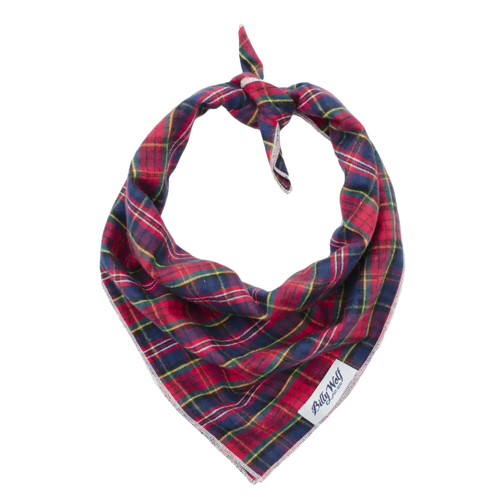 Red Plaid Bandana