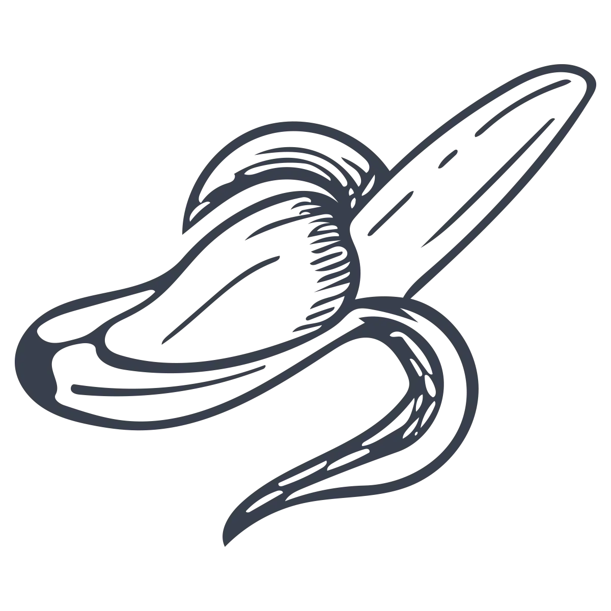 Sketch of a Peeled Banana