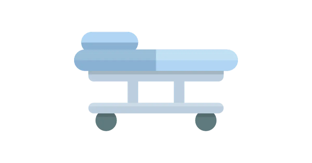 Hospital Bed