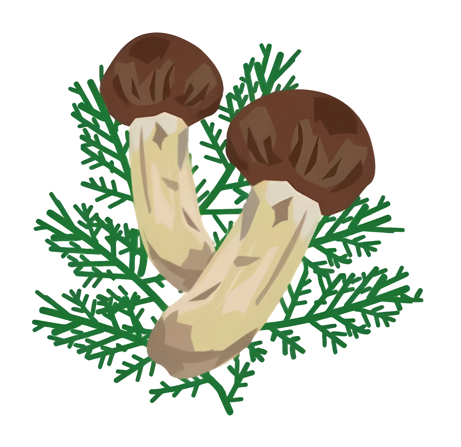 Mushrooms with Green Leaves