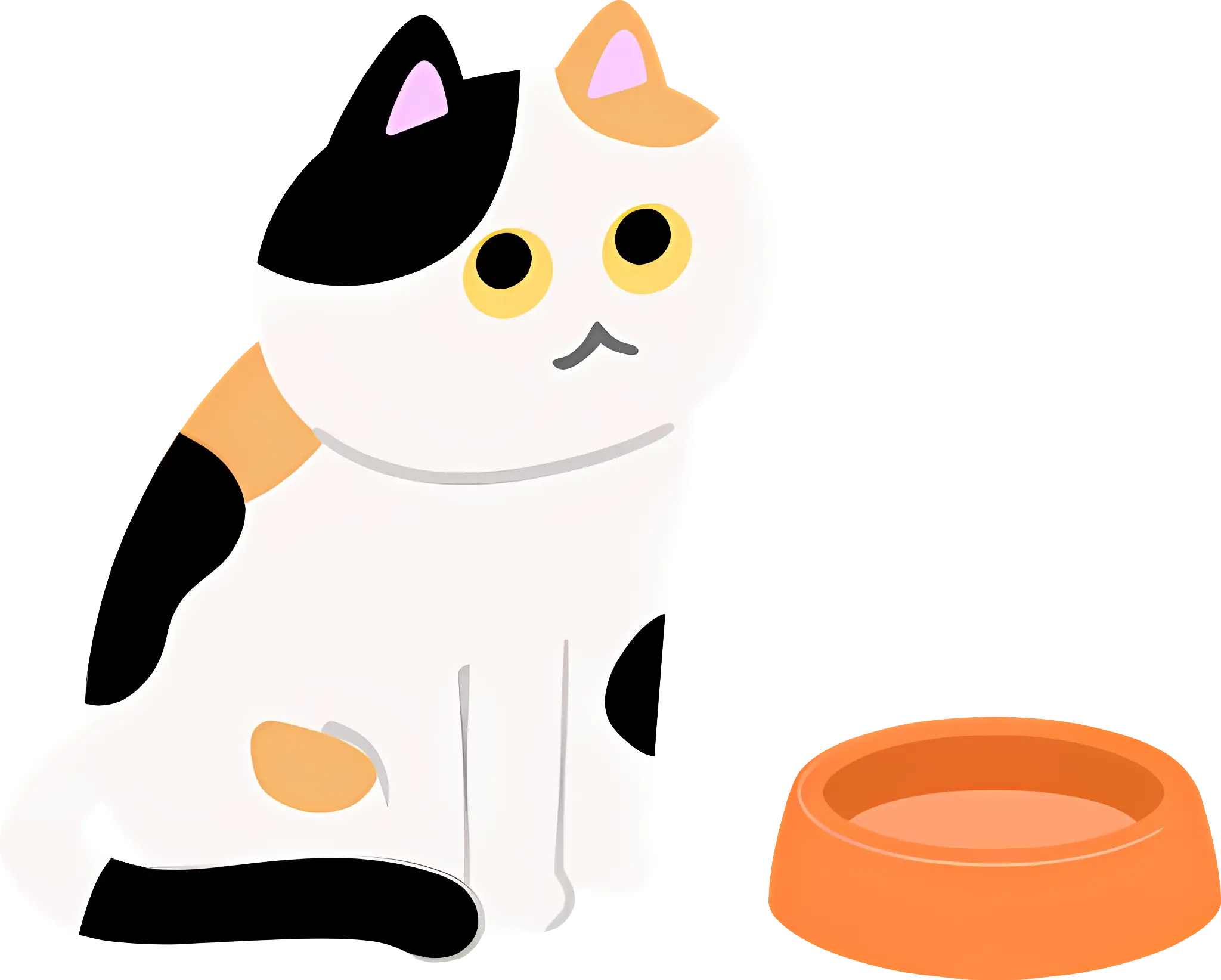 Calico Cat with Orange Food Bowl