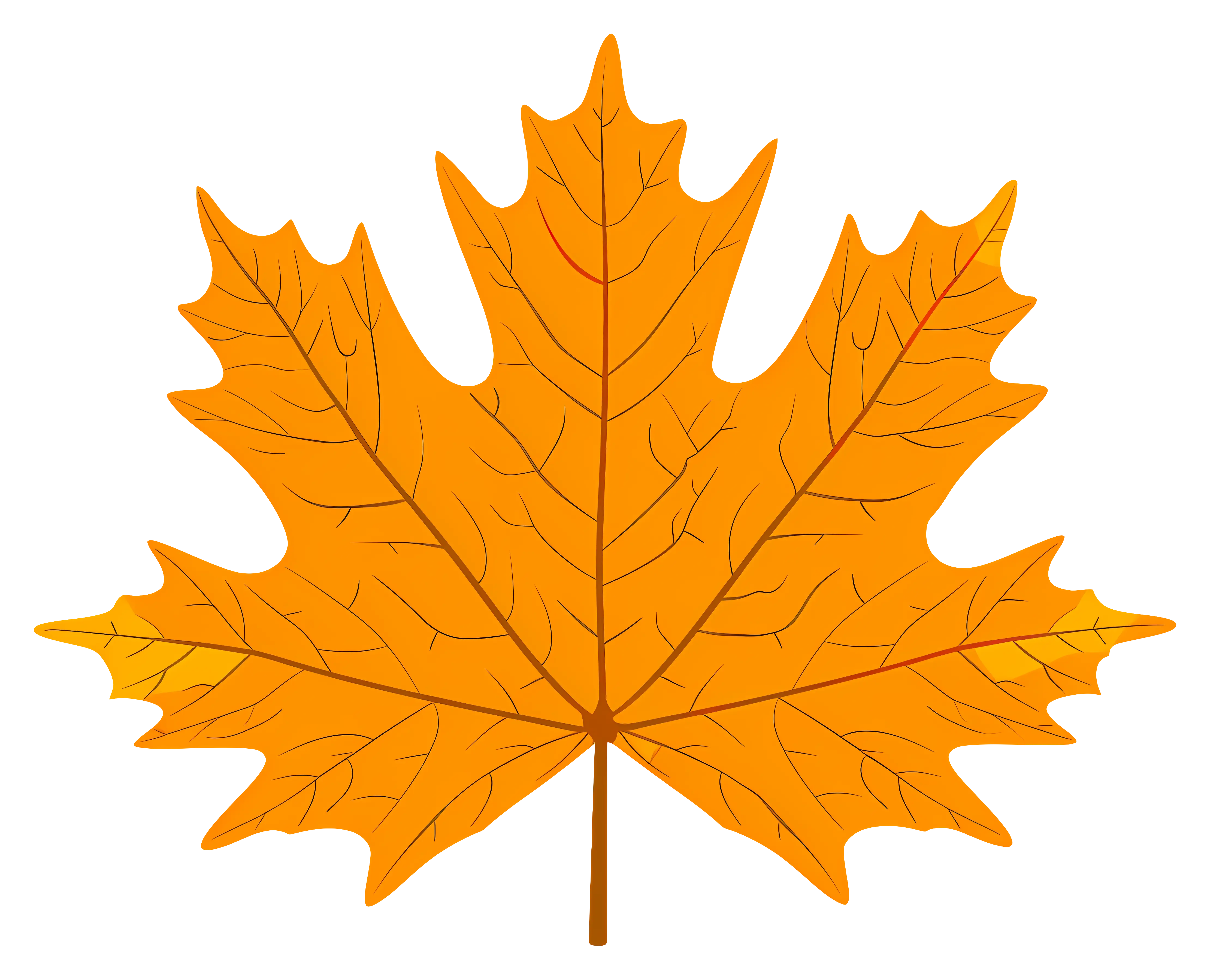 Bright Orange Maple Leaf Illustration