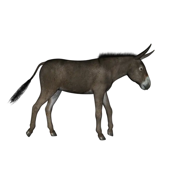 Realistic Illustration of a Brown Donkey