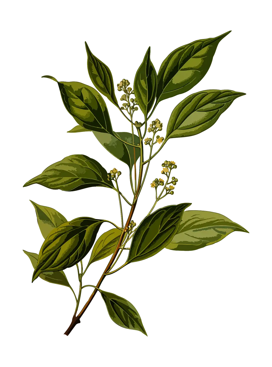 Green Botanical Branch Illustration with Vibrant Leaves