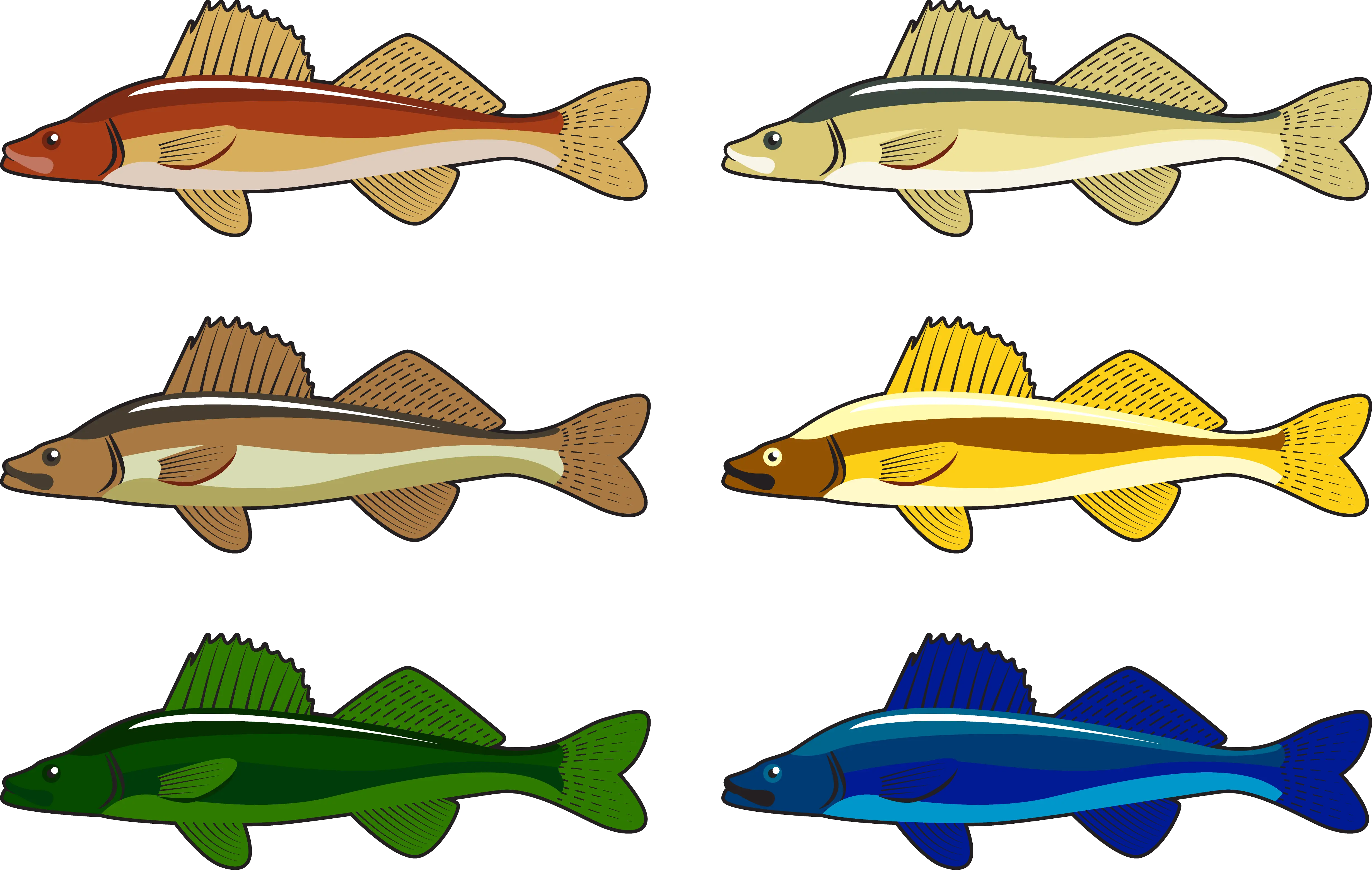 Colorful Fish Illustrations