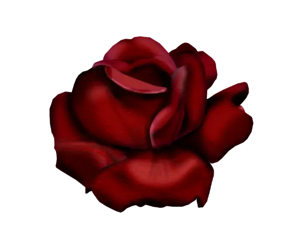 Red Rose Illustration for Valentine&#039;s Day