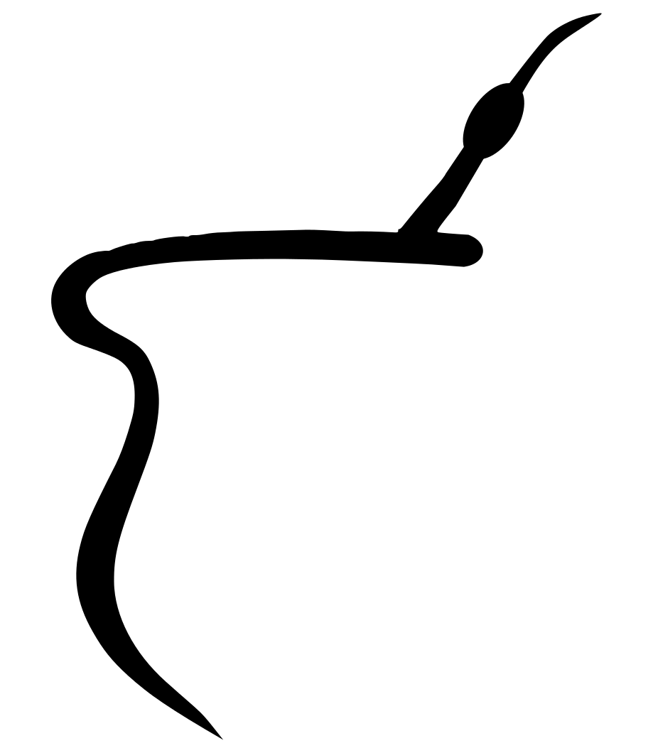 Black Whip Illustration