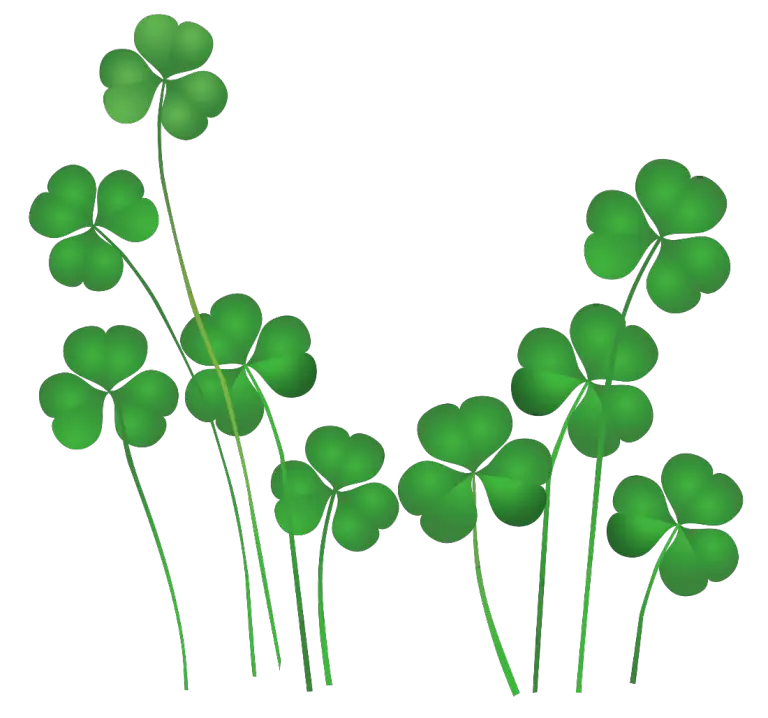 Illustrated Shamrocks with Stems