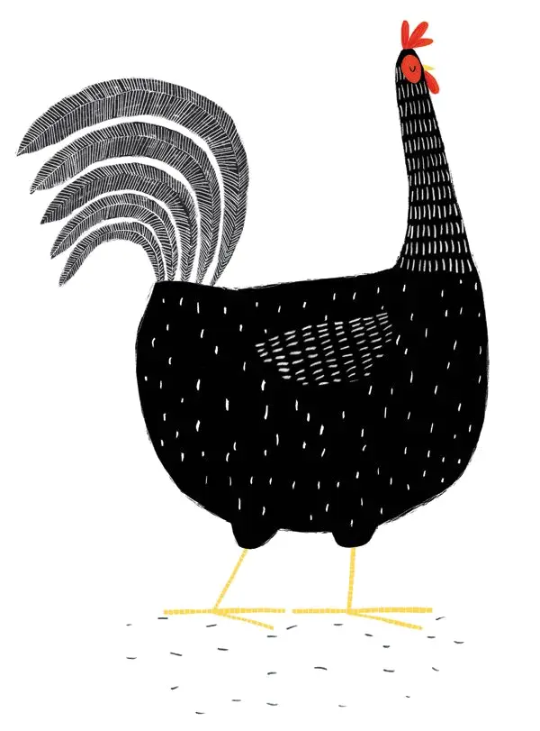 Black Rooster Illustration