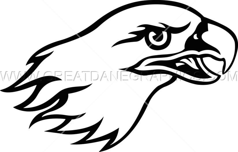 Black and White Eagle Head Drawing