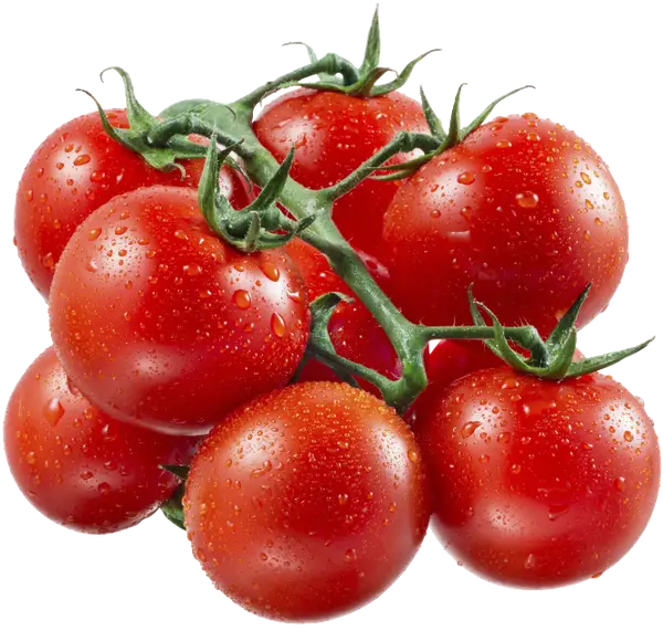 Fresh Red Tomatoes on Vine