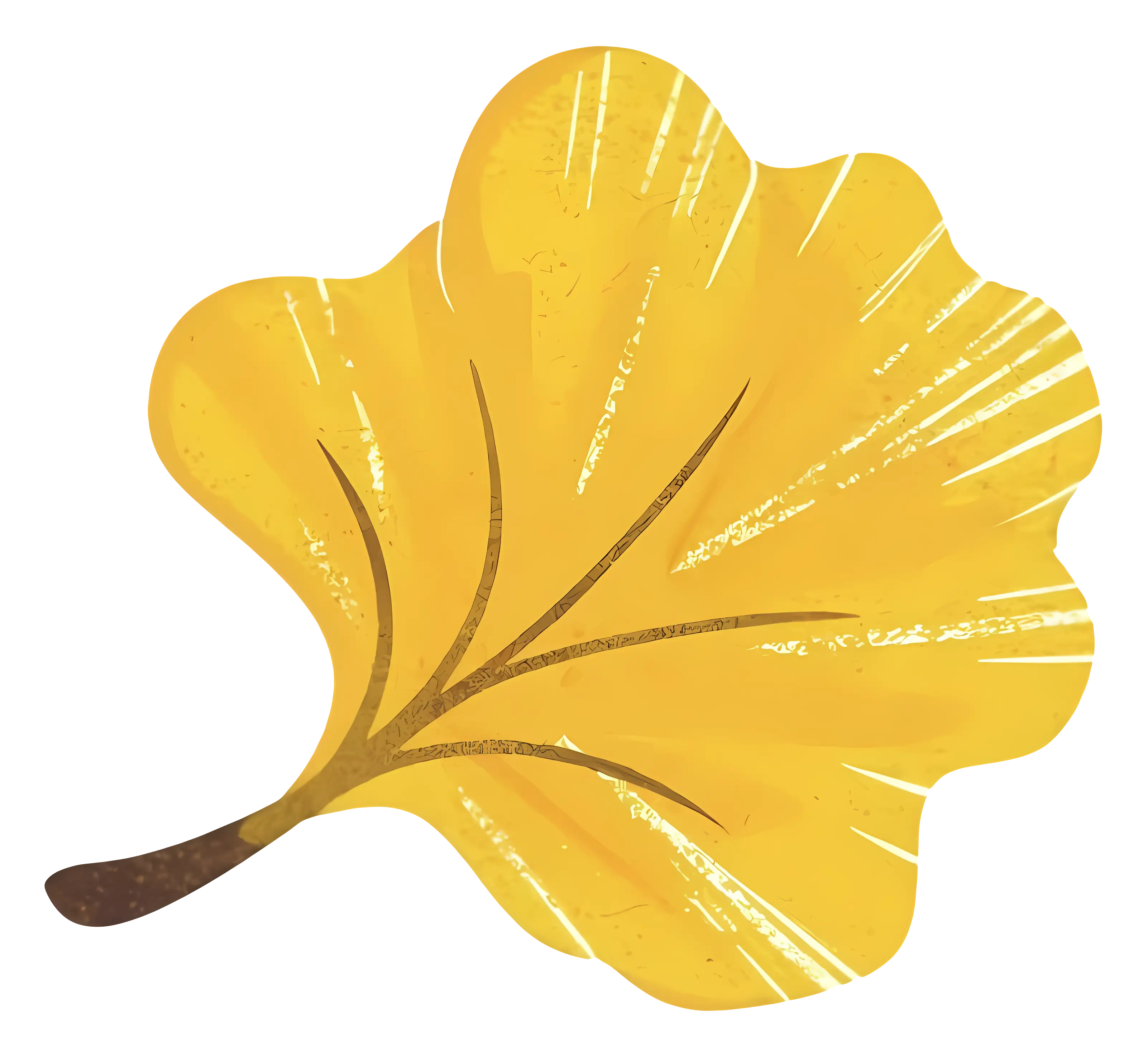Yellow Ginkgo Leaf Botanical Illustration