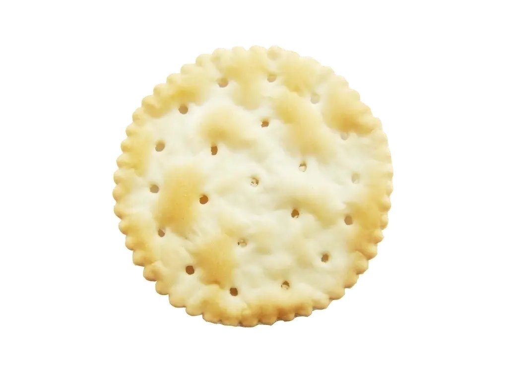 Round Salted Cracker
