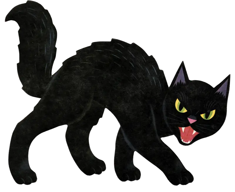 Hissing Black Cat Illustration
