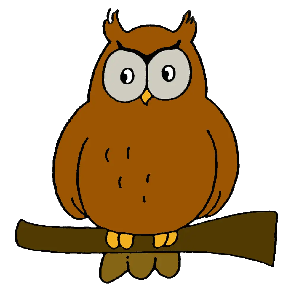 Brown Cartoon Owl on a Branch
