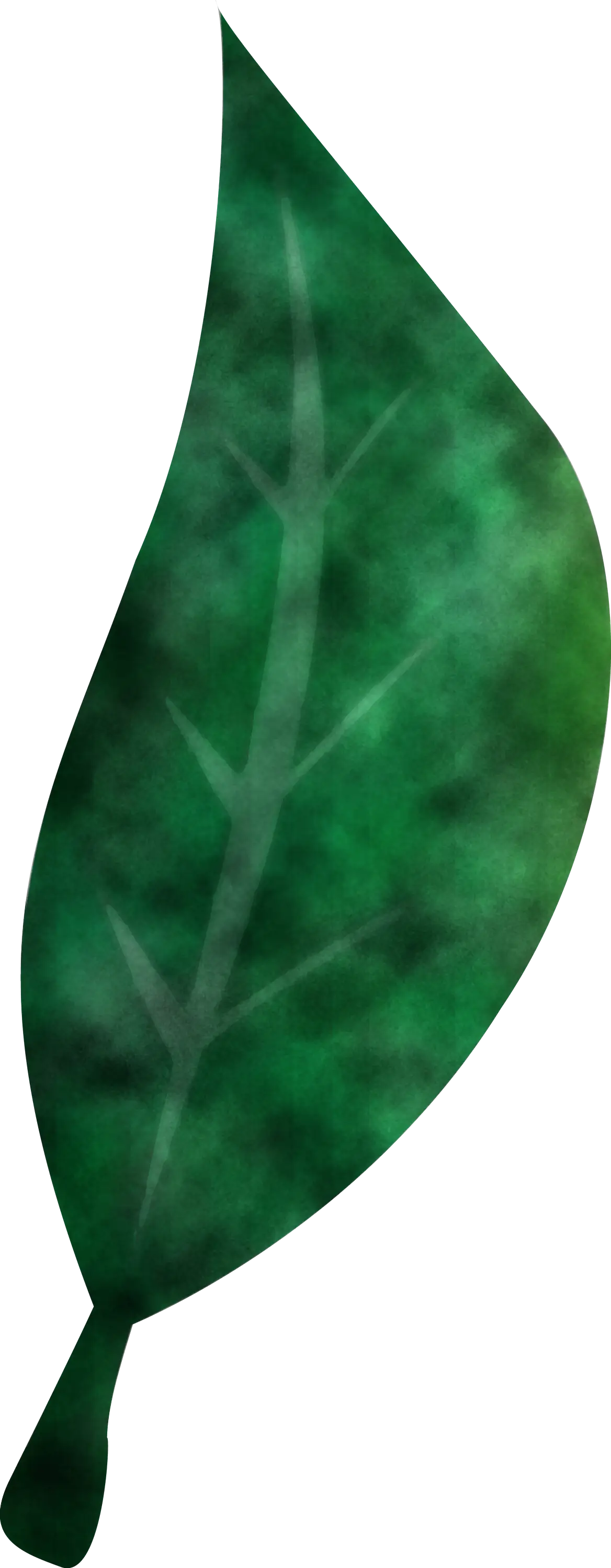 Beautiful Green Leaf Illustration