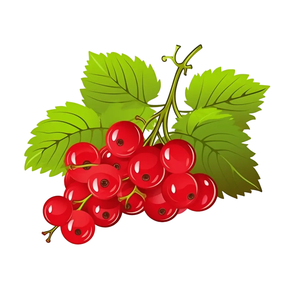 Red Currants with Fresh Green Leaves