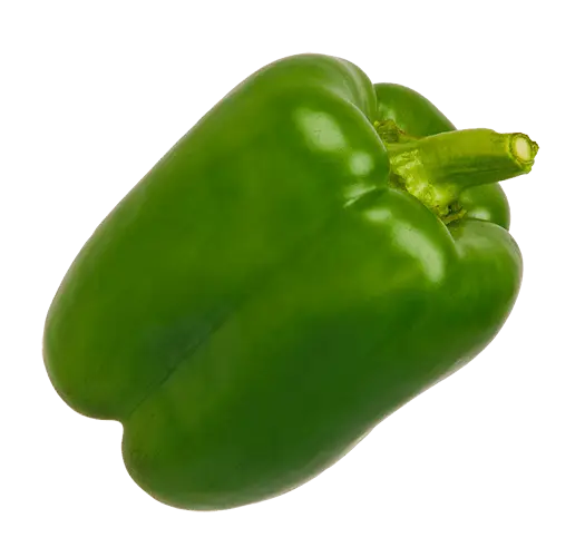 Fresh Green Bell Pepper