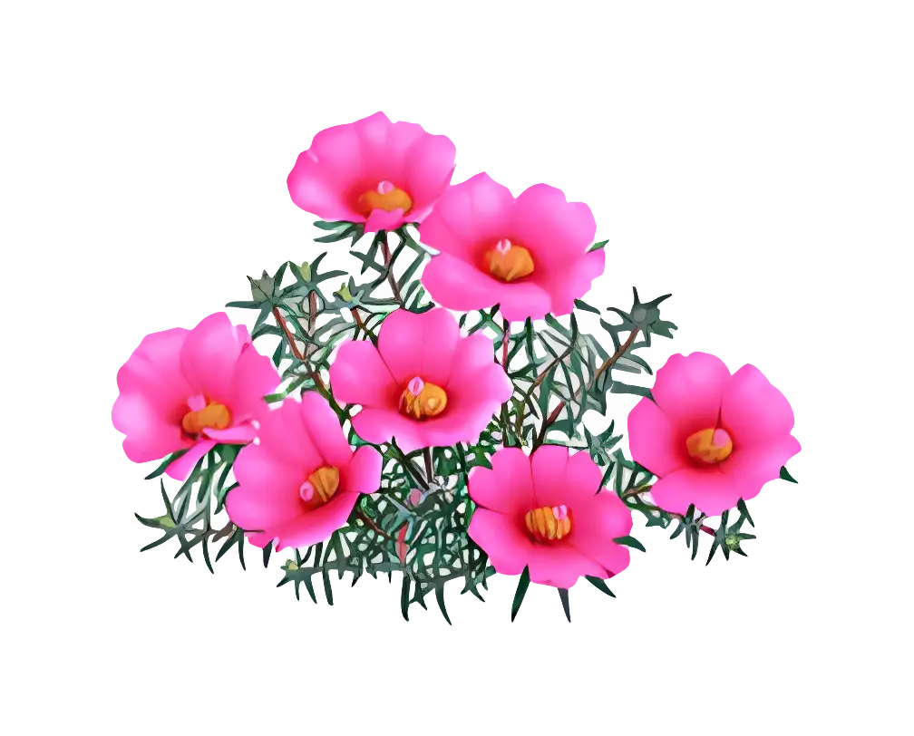 Pink Flowers with Green Leaves