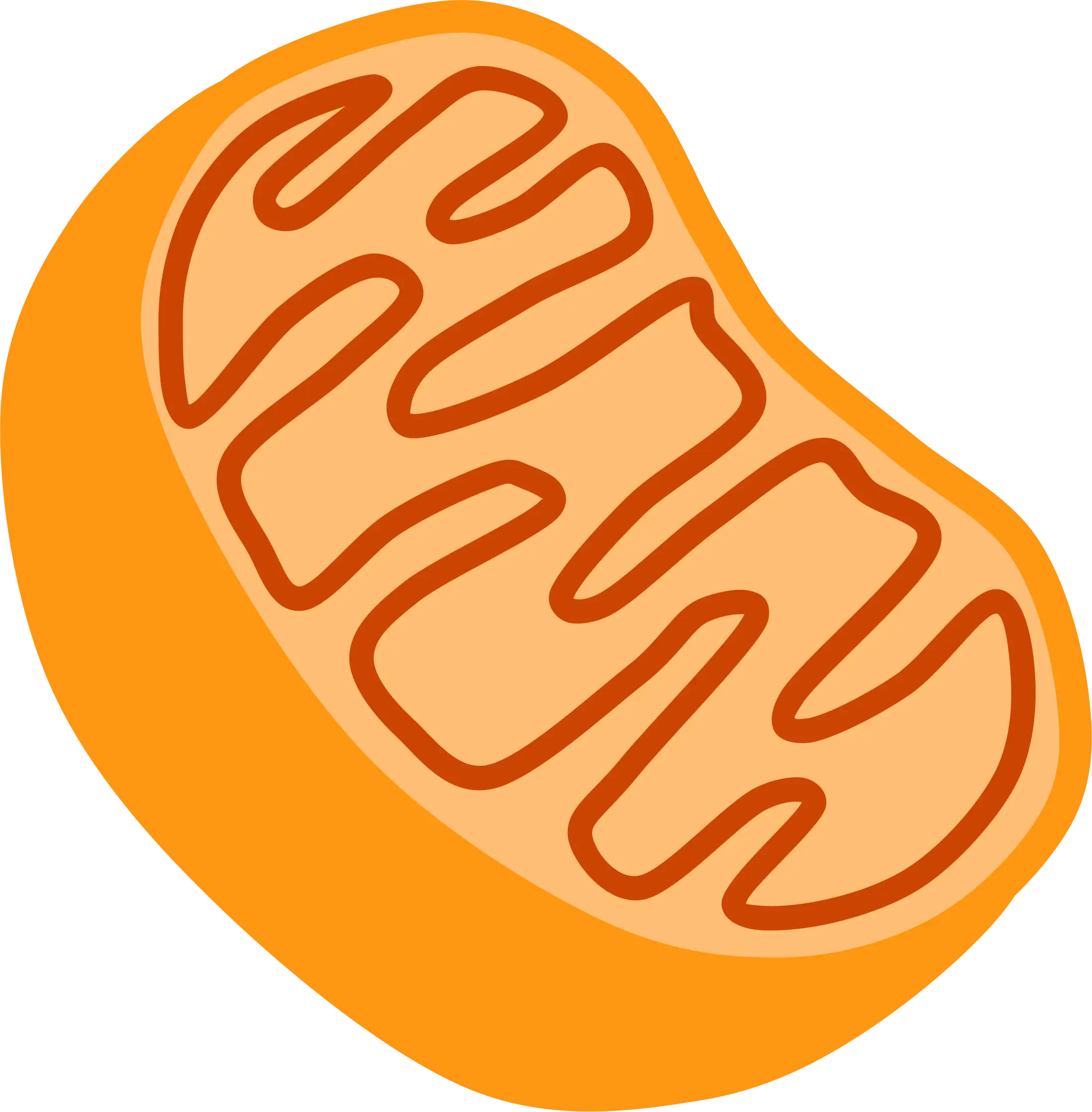 Mitochondrion Cartoon Illustration for Education
